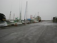 雨の松崎港