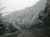 バサラ峠の雪景色2