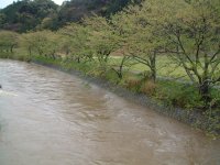 岩科川増水