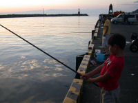 松崎港釣り