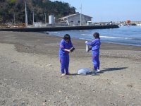 松崎海岸ボランティア清掃