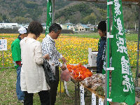 農業振興会が那賀花畑で売店を開きました