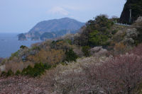 萩谷からの富士山