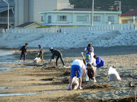 松崎海岸清掃ボランティアが始まりました