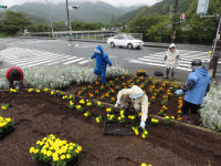 松崎町花の会作業