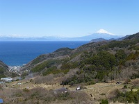 富士山と石部棚田
