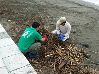海岸清掃