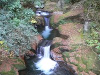 P1000183 (1) P1000183 (1)