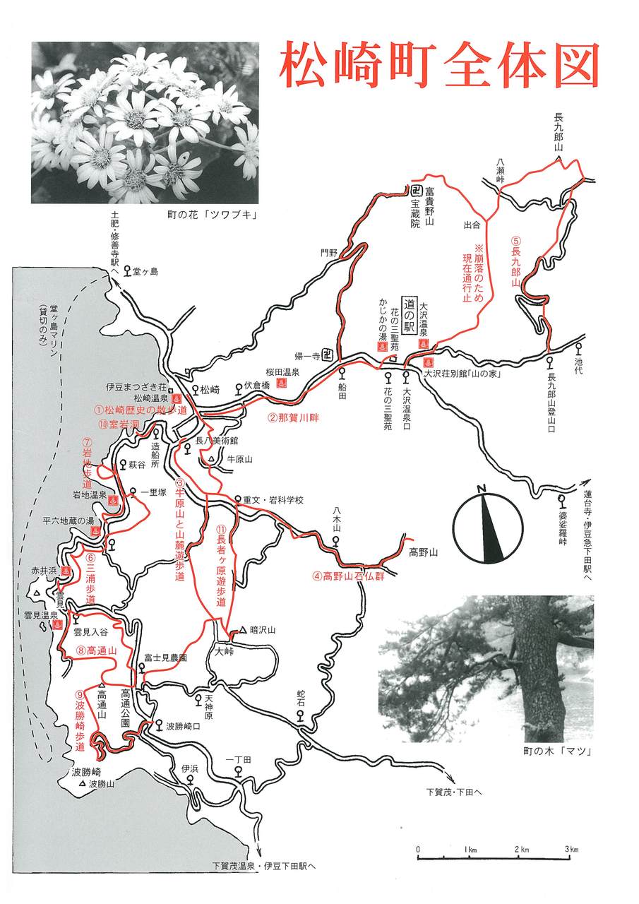 松崎町全体図