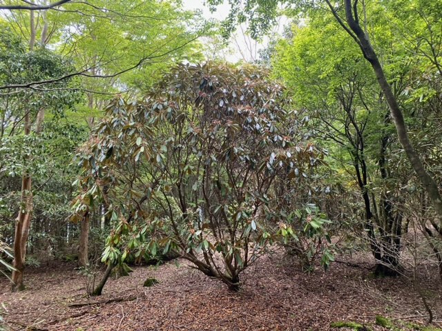 image6