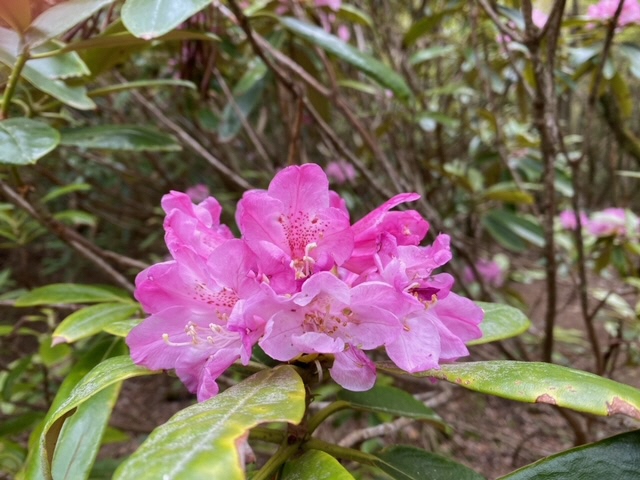 image6