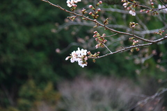 180319naka