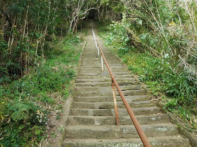 本殿に続く石段320段