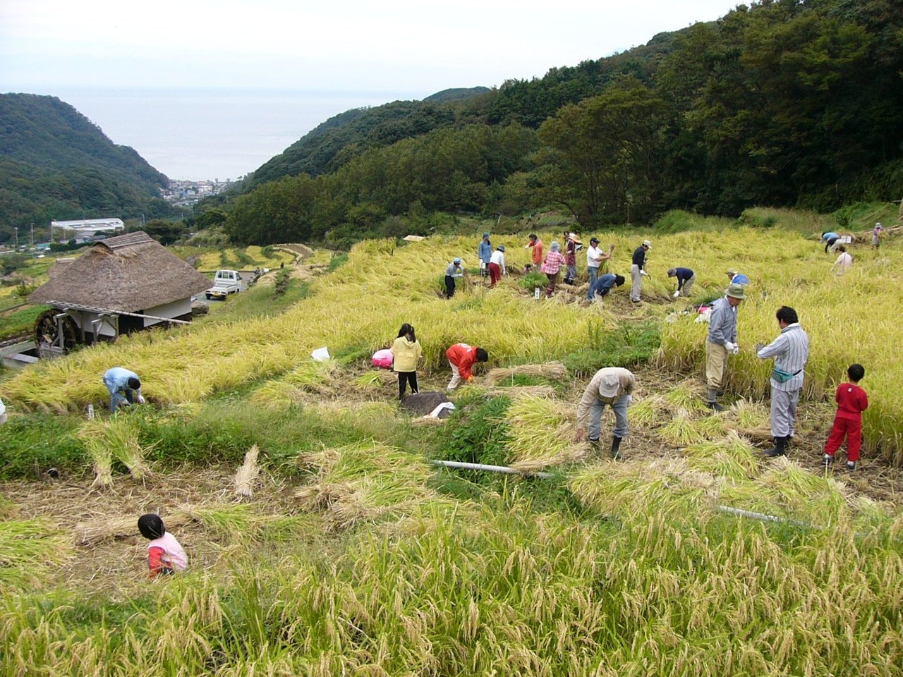 石部棚田収穫祭