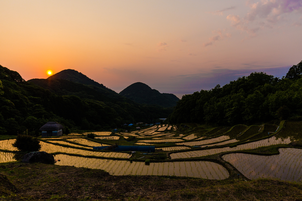 石部棚田（夕景）