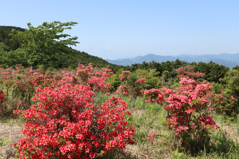 長者ケ原　平成30年4月29日