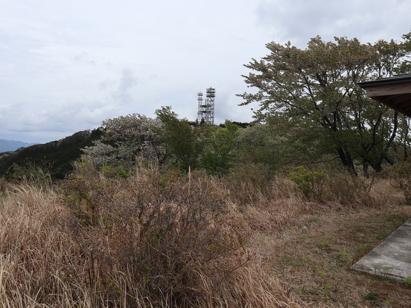 長者ケ原　平成31年4月17日