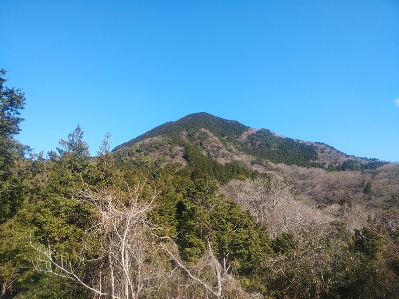 バサラ山（携帯鉄塔より）