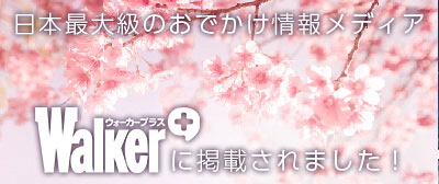 ウォーカープラスバナー