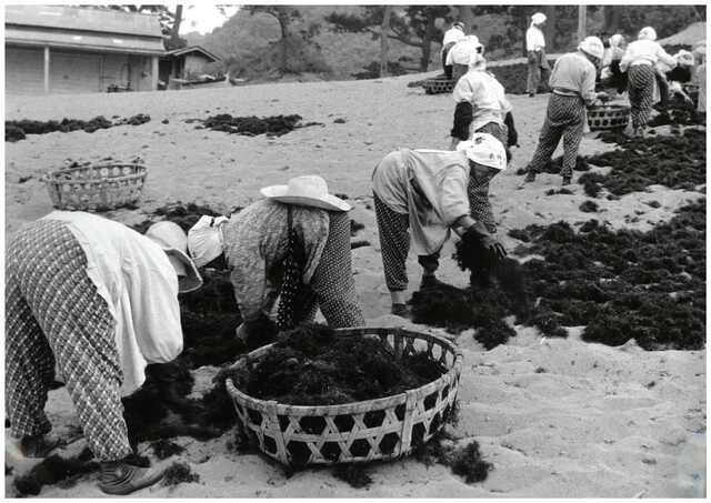 昭和100周年記念 昭和の歴史写真展 №2（三浦地区） | 松崎町