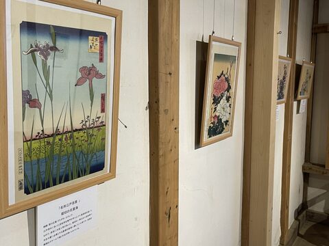 浮世絵展示
