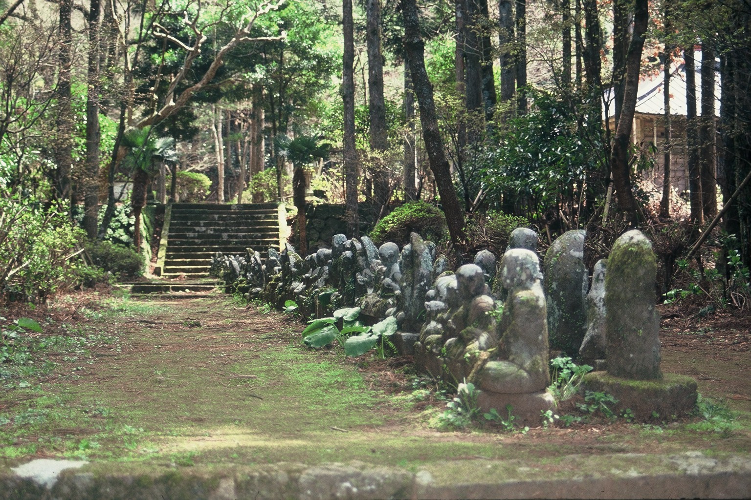 (87)宝蔵院地蔵02 松崎町