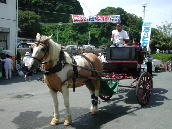 (1004)馬車