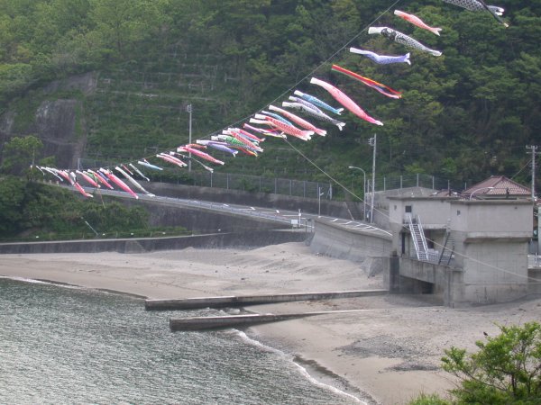 (1019)石部海岸こいのぼり