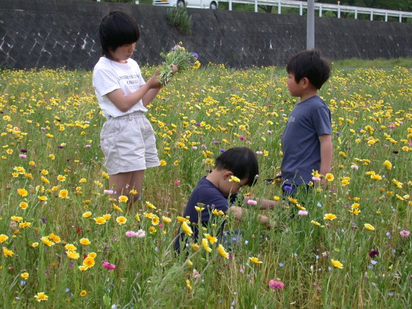 (1026)花摘み