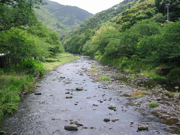 (1049)那賀川大沢