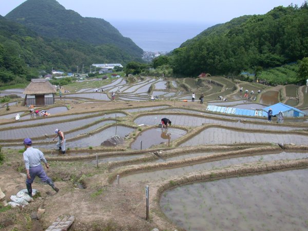 (1072)棚田田植え