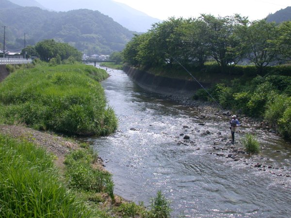 (1099)鮎友釣り