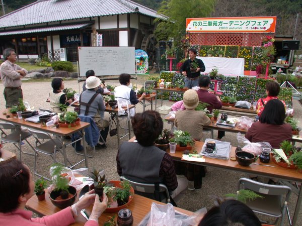 (1265)寄せ植え教室（インドア用）