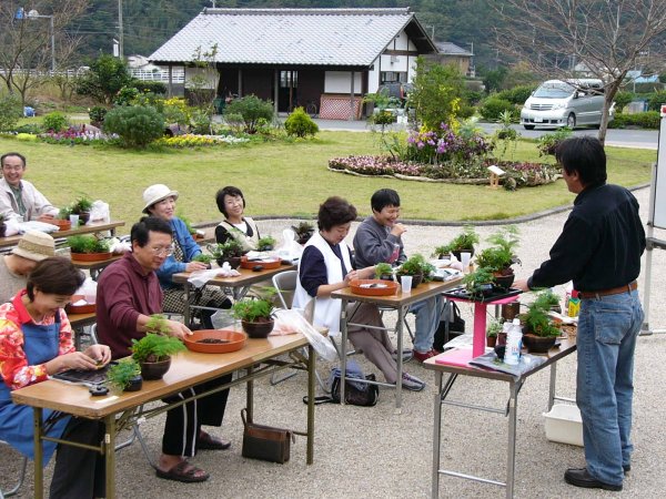 (1266)寄せ植え教室（インドア用）