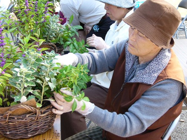 (1270)寄せ植え教室（アウトドア用）