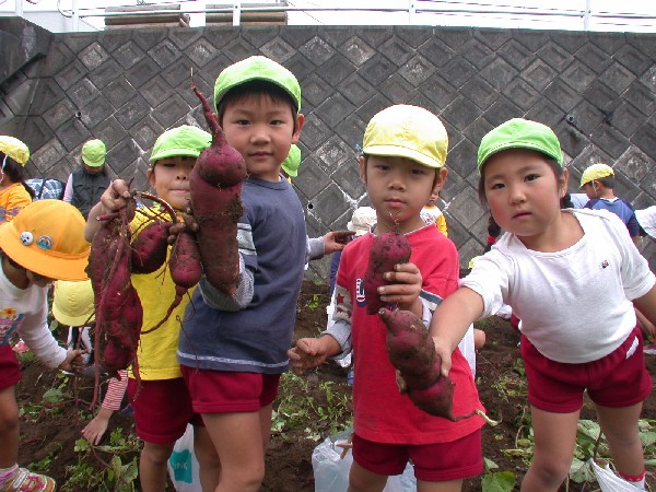 (1289)中川幼稚園いも堀り