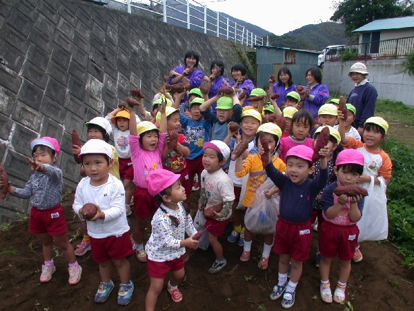 (1290)中川幼稚園いも堀り