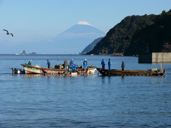 (1326)きびなご漁（石部海岸）