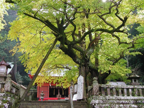 (1331)伊那下神社