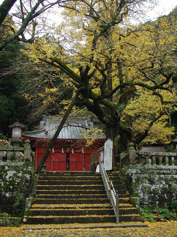 (1347)伊那下神社