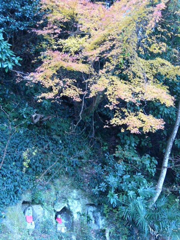 (1378)仏の小道紅葉