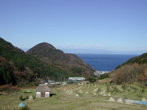 (1387)石部の棚田