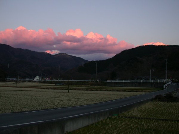 (1429)田んぼの夕景