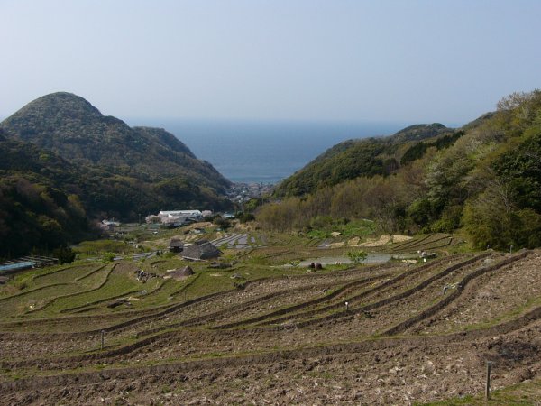 (1489)石部の棚田