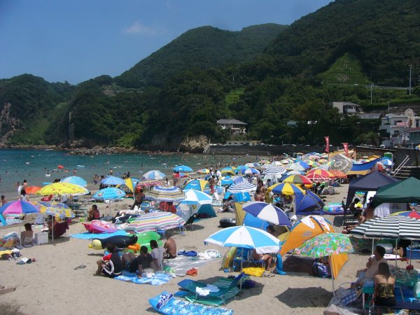 (1686)岩地海岸