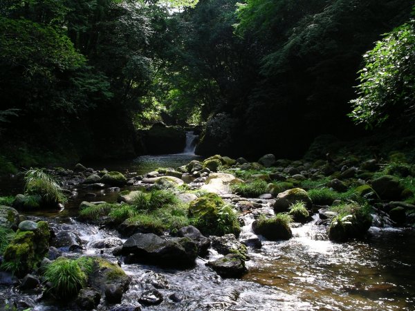 (1703)岩科川の渓谷
