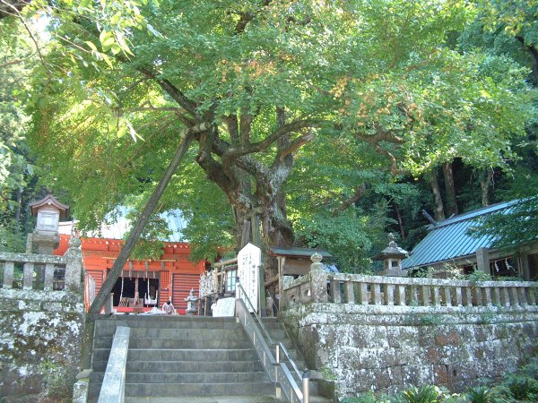 (1772)伊那下神社