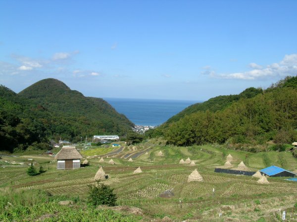 (1866)石部の棚田