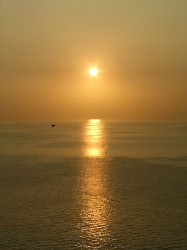 (2019)三浦海岸からの夕陽