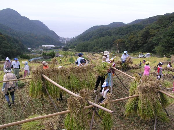 (2231)棚田収穫祭